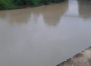 DLH Selidiki Dugaan Limbah Cemari Sungai Batang Siek