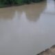 tak-jera,-limbah-pt-dl-diduga-kembali-cemari-ekosistem-sungai