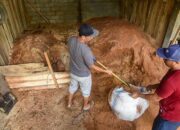 Biaya Tinggi Hambat Industri Biomassa Nasional Berkembang