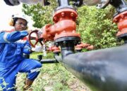 PHR Temukan Cadangan Minyak Baru di Sumur Siak