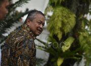 DPR Uji Calon Deputi Gubernur BI, Voting Senin