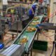 amran-bilang-bumn-kuasai-700-ribu-kiloliter-minyak-goreng