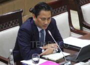 DPR Sahkan Thomas Djiwandono Jadi Deputi Gubernur BI