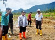 Banjir-Longsor Terjang Agam, Bupati Tinjau Lokasi Terdampak