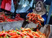 Harga Cabai Naik: Cuaca dan Tenaga Kerja Jadi Sorotan