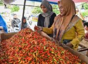 Bapanas Pangkas Biaya Logistik, Harga Cabai Merah Turun?