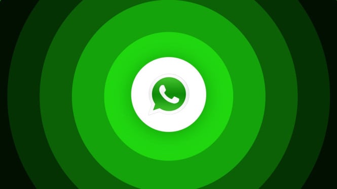 10-fitur-whatsapp-bisa-bawa-keberuntungan-di-tahun-kuda-api