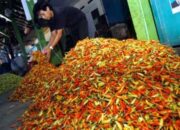 PU Bangun Baru Pasar Tanjung Jember Tahun Ini