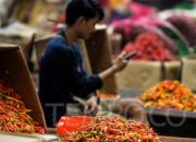 Harga Cabai Meroket, Bapanas Ungkap Strategi Stabilisasi Pangan