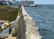 Giant Sea Wall Lindungi Pesisir Utara Jawa