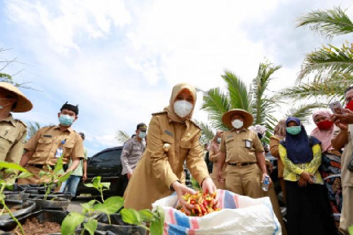 sejumlah-harga-pangan-di-banyuwangi-naik-di-sepekan-ramadan