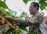 Sultan Yogyakarta Minta Harga Menu MBG Ditampilkan Terbuka