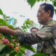 sultan-hb-x-minta-perbaikan-dan-pencantuman-harga-mbg