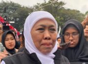 Banyuwangi Pimpin Produksi Jagung Nasional, Surplus Terus Meningkat