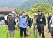 Kementan Gulirkan Rehabilitasi Lahan Pertanian Agam Pasca Banjir