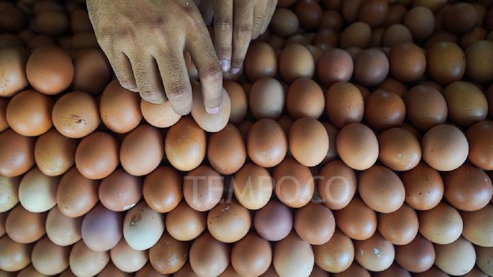 amran-sulaiman-klaim-mbg-bikin-harga-telur-stabil