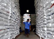 Bulog Probolinggo Distribusikan Beras, Serap Gabah Petani