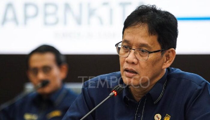 Pemerintah Tunda Bea Keluar Batu Bara, Ada Keberatan