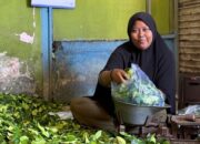 Wulan Bangkit: Daun Jeruk Biayai Hidup dan Sekolah