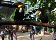 Ancol Gelar Festival, Targetkan Ratusan Ribu Pengunjung Lebaran