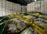 Pemerintah Siapkan Kemasan Beras SPHP Dua Kilogram bagi Masyarakat