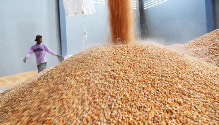 Bapanas Percepat Penyaluran SPHP Jagung Pakan bagi Peternak