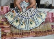Rupiah Melemah, Harga Barang Impor Berpotensi Naik Bertahap