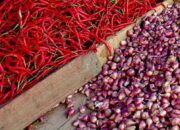 Pemko Padang Gelar Pasar Murah Jaga Stabilitas Harga Pangan
