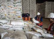 Bulog Siapkan 88 Lokasi Gudang Pascapanen Nasional