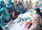 TP PKK Sumbar Tinjau Dasawisma Air Haji