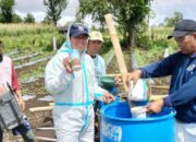 PGE dan UGM Kembangkan Booster Pertanian Geotermal