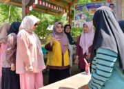 Ketua TP PKK Agam Cek Kesiapan Dasawisma Pinang Baririk II