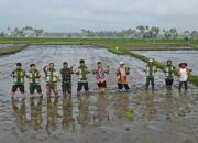 Payakumbuh Percepat Tanam Padi untuk Antisipasi El Nino