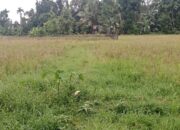 Pemko Padang Diminta Percepat Perbaikan Irigasi Gunung Nago
