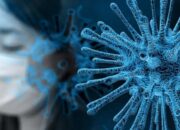 Kemenkes Tegaskan Hantavirus Telah Ditemukan Sejak 1991