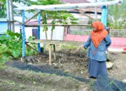 Ketua TP PKK Agam Bina Kader Sungai Pua