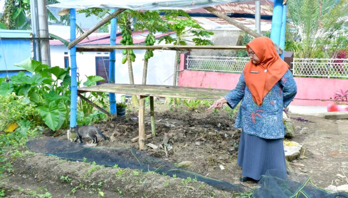 Ketua TP PKK Agam Bina Kader Sungai Pua