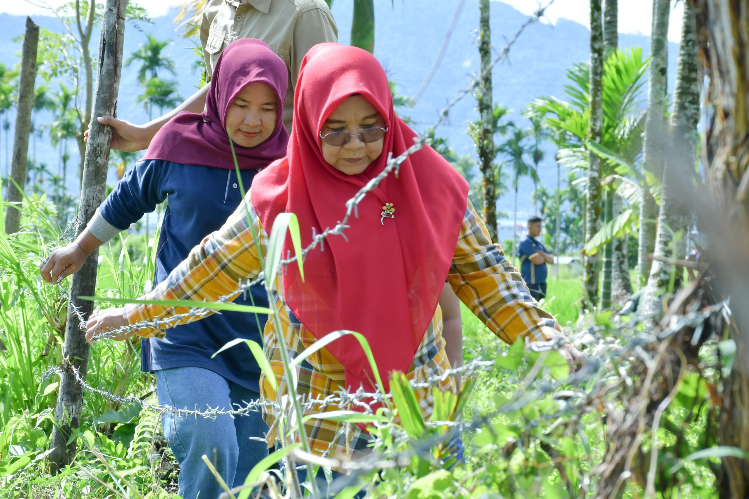tp-pkk-agam-gandeng-rutan-maninjau,-kelola-lahan-warga-jadi-produktif