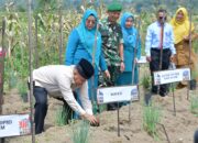 Bupati Agam Dorong Ketahanan Pangan Lewat Penanaman Bibit