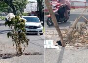 Dinas PUPR Agam Perbaiki Gorong-Gorong Ambruk di Kamang Magek