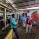 monitoring-ketersediaan-sapi-kurban-jelang-idul-adha,-pemkab-solok-pastikan-harga-stabil