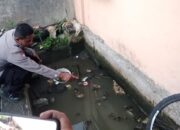 Dua Pria Tewas Saat Mengambil Getah di Pasaman Barat