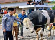 Bupati Agam Serahkan Sapi Kurban Presiden bagi Korban Bencana