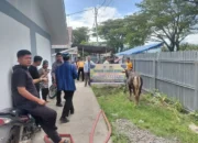 Pemerintah Kota Padang Distribusikan Hewan Kurban bagi Warga Huntara