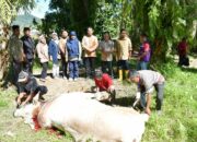 Sekretaris Daerah Agam Salurkan Hewan Kurban bagi Warga Palembayan