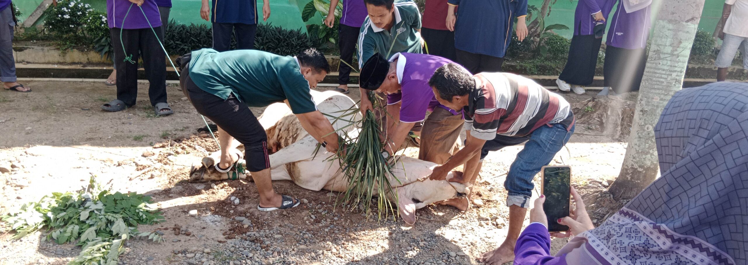 berkurban-tiga-ekor-sapi,-man-3-padang-tebar-kepedulian-dengan-lingkungan 