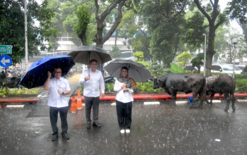 Kemkomdigi Distribusikan Hewan Kurban bagi 1.751 Penerima Manfaat