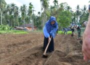 ketua-tp-pkk-agam-kembali-tinjau-pengembangan-lahan-pertanian-yonif-tp-897-singgalang