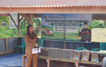 Pemkab Dharmasraya Salurkan Alsintan dan Benih Pacu Produktivitas Pertanian Daerah