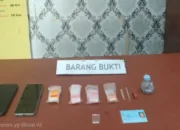 polres-pariaman-ringkus-kembali-residivis-kasus-kepemilikan-narkotika-jenis-sabu